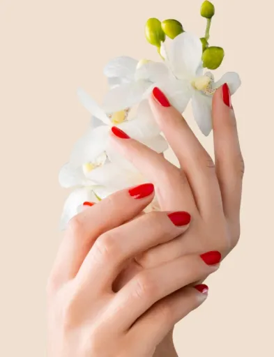 Manicure Tradicional
